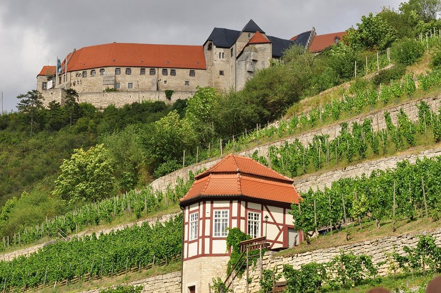 Winzerfest Freyburg