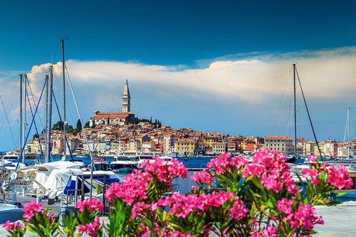 janoka82 - Fotolia