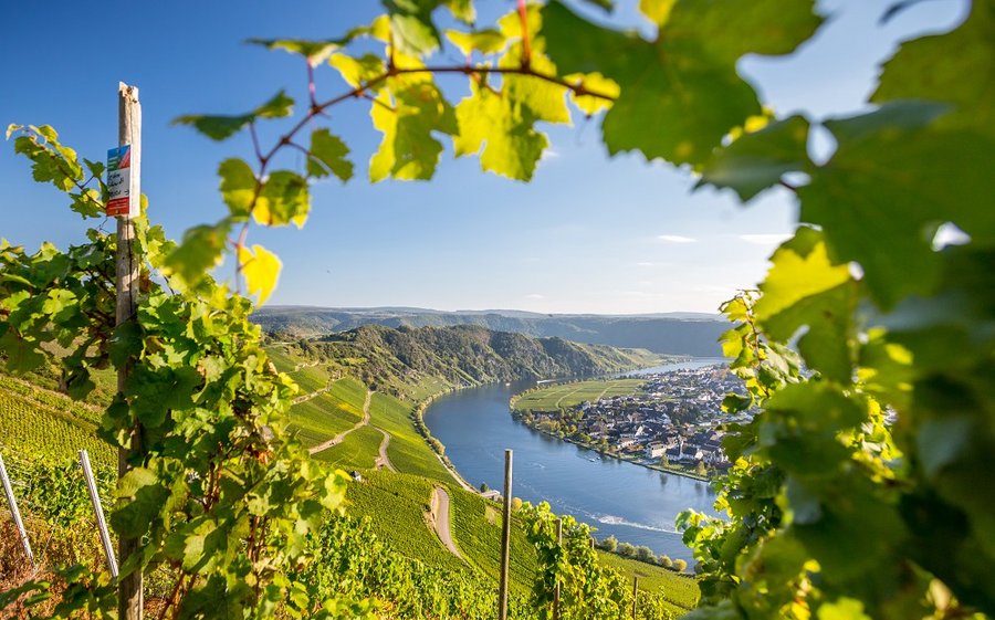 Rhein, Mosel und Saar