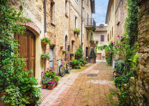 Zur Kamelienblüte in die Toskana Zur Kamelienblüte in die Toskana