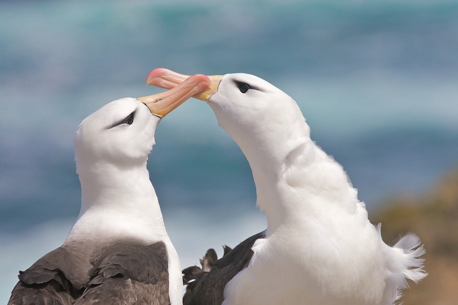 Â©joshanon - stock.adobe.com