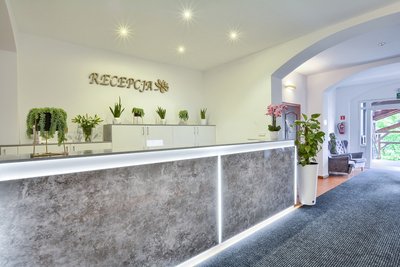 Magnolia III Magnolia III