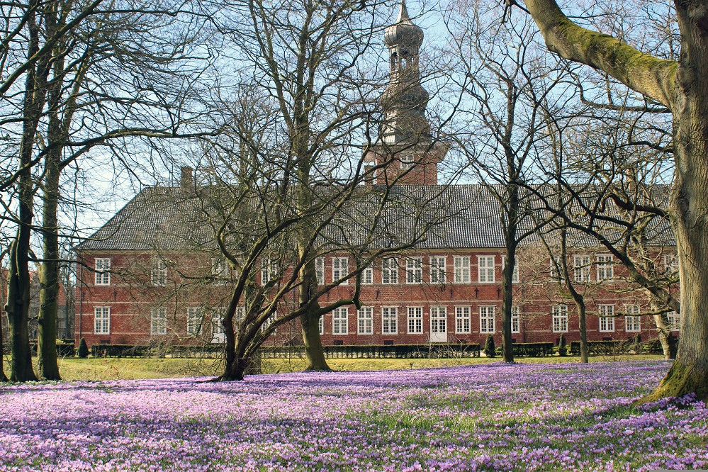 Krokusblüte in Husum Krokusblüte in Husum
