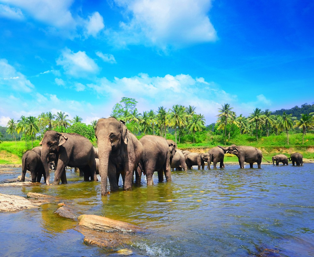 Sri Lanka und Malediven Sri Lanka und Malediven