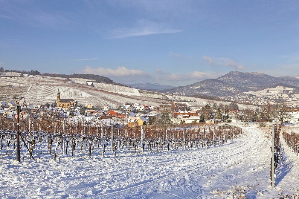 Silvester in der Pfalz