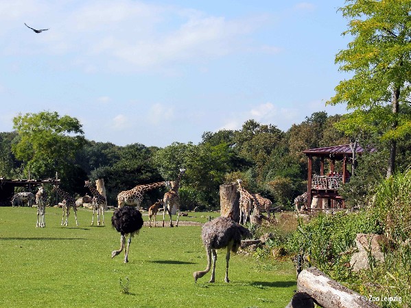 Leipzig Zoo Leipzig Zoo