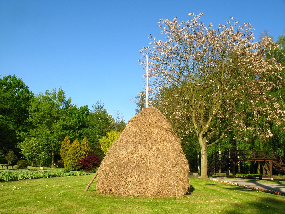 Naturparadies Spreewald