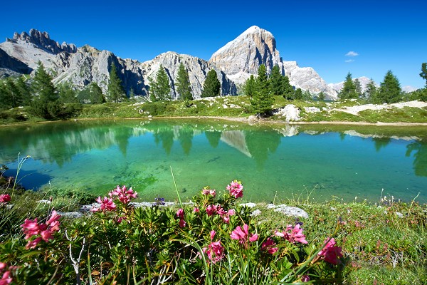 Mit Volldampf durch die Alpen Mit Volldampf durch die Alpen
