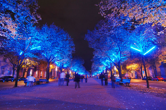 Festival of Lights Festival of Lights