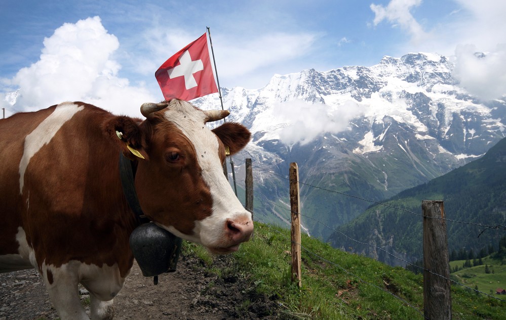 Zu den Gipfeln Europas Zu den Gipfeln Europas
