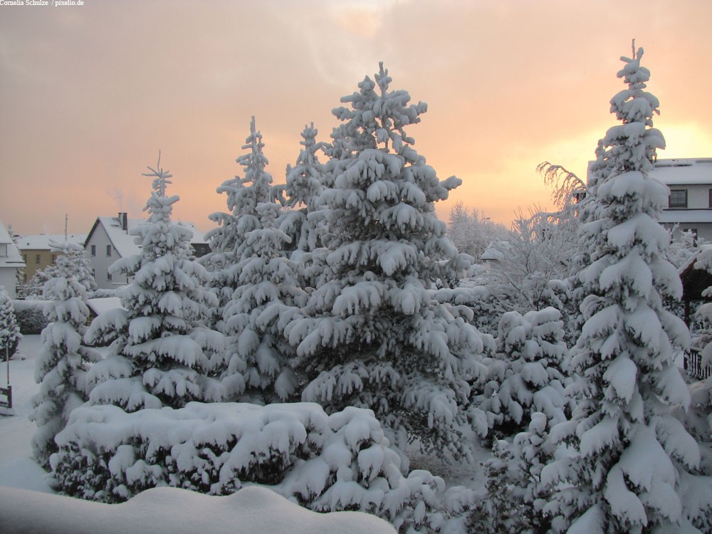 Traditionelles "Neinerlaa-Essen" im Erzgebirge