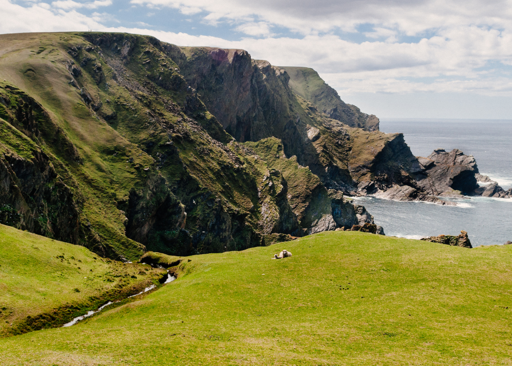 Island und Orkney Inseln mit AIDAsol