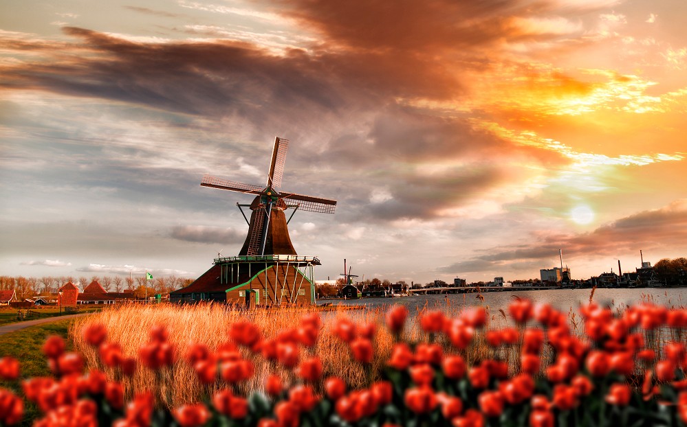 Â©samott - stock.adobe.com