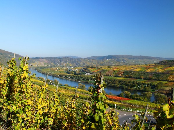 Rhein in Flammen in St. Goar