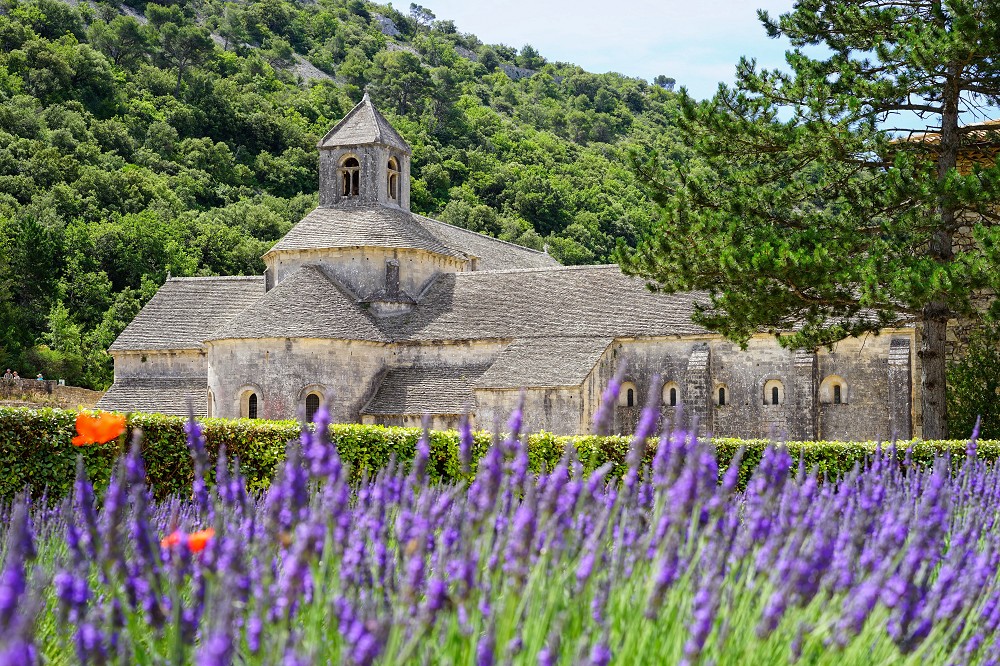 Mediterrane Vielfalt