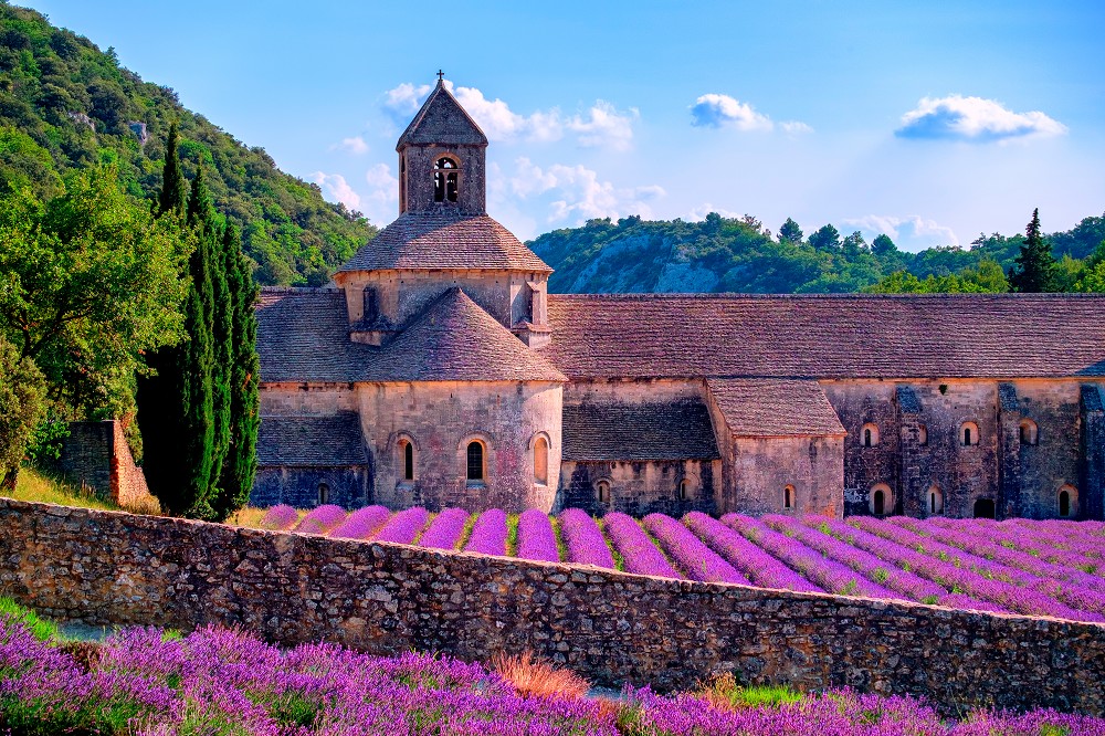 Zauber der Provence und Camargue