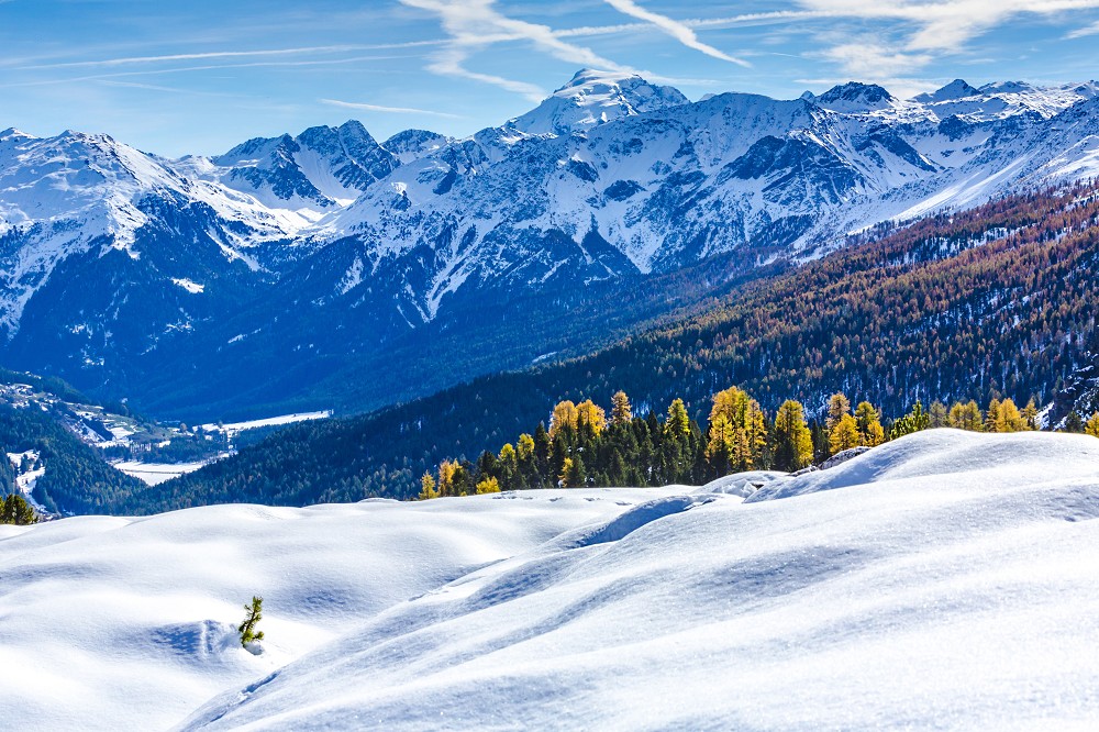 Â©mmphoto - stock.adobe.com