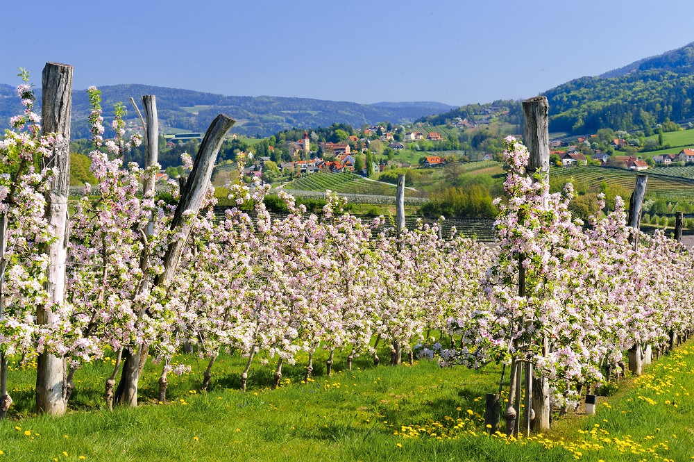 Steiermark Tourismus/Erich Hagspiel