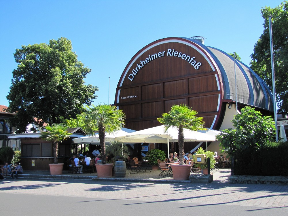 Mandelblüte in der Pfalz