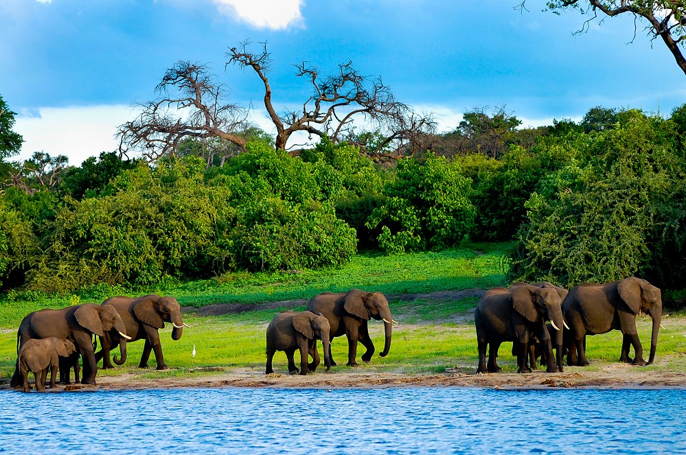 Namibia, Botswana und Zimbabwe