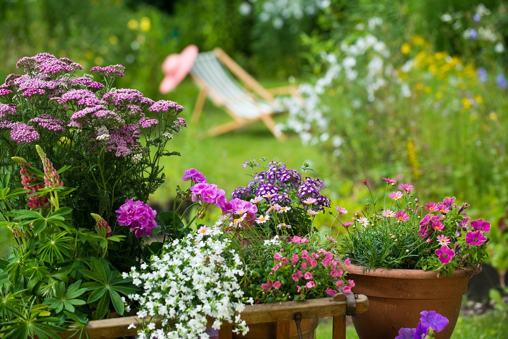 Landesgartenschau Wittenberge