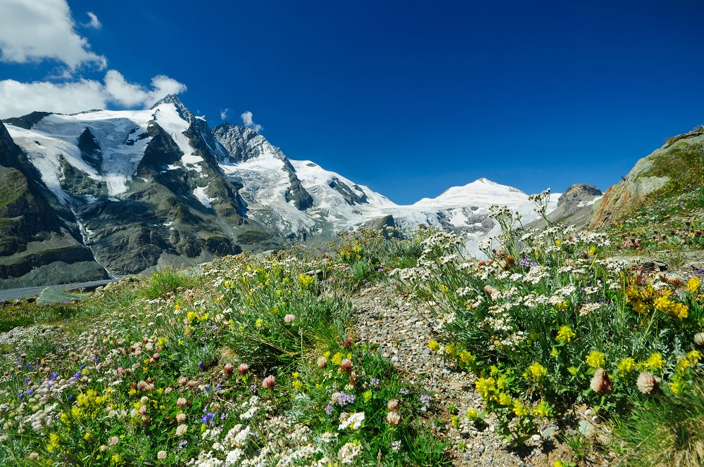 Dem Großglockner hautnah