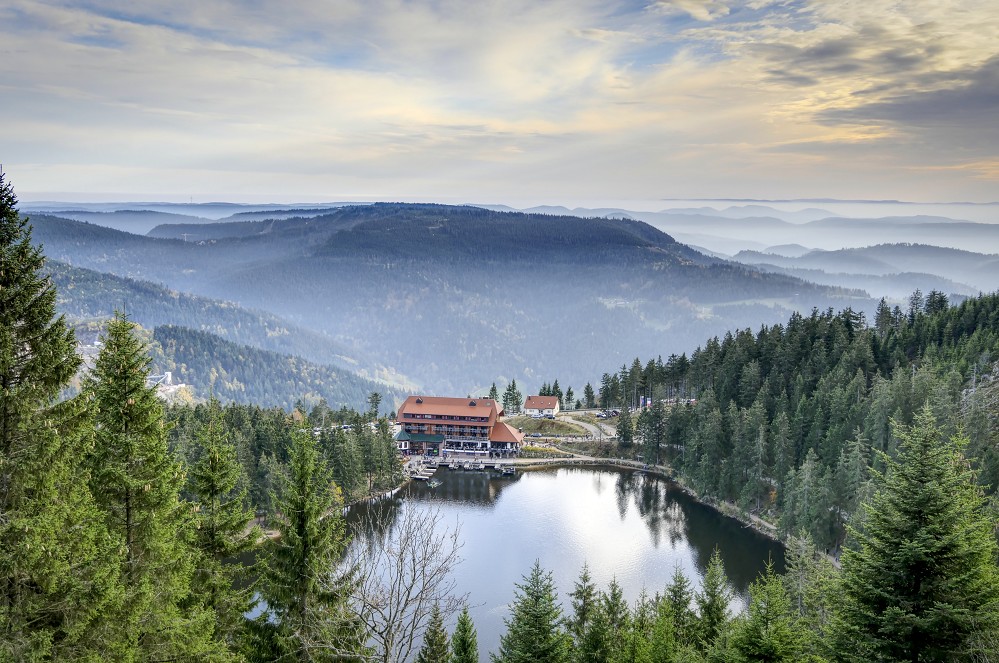 Singlereise in den Schwarzwald