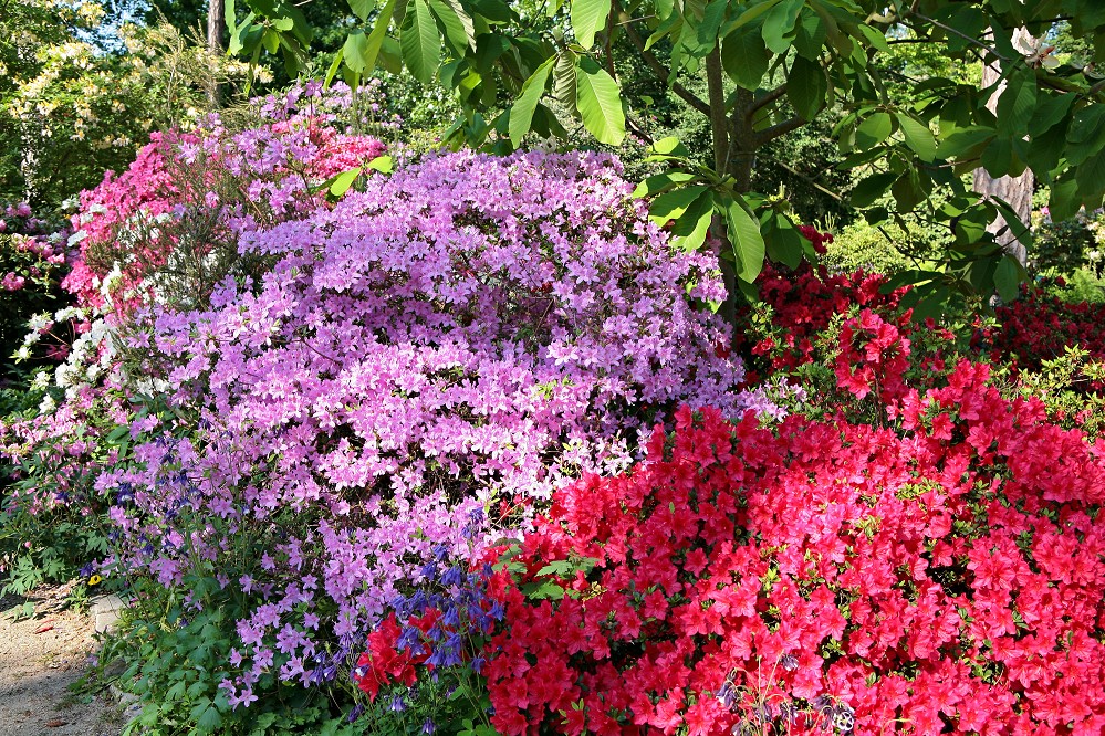 Zur Landesgartenschau ins Erzgebirge